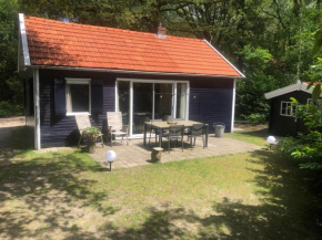 Vakantiehuis De Veldhoen vrijgelegen nabij de rivier de Vecht